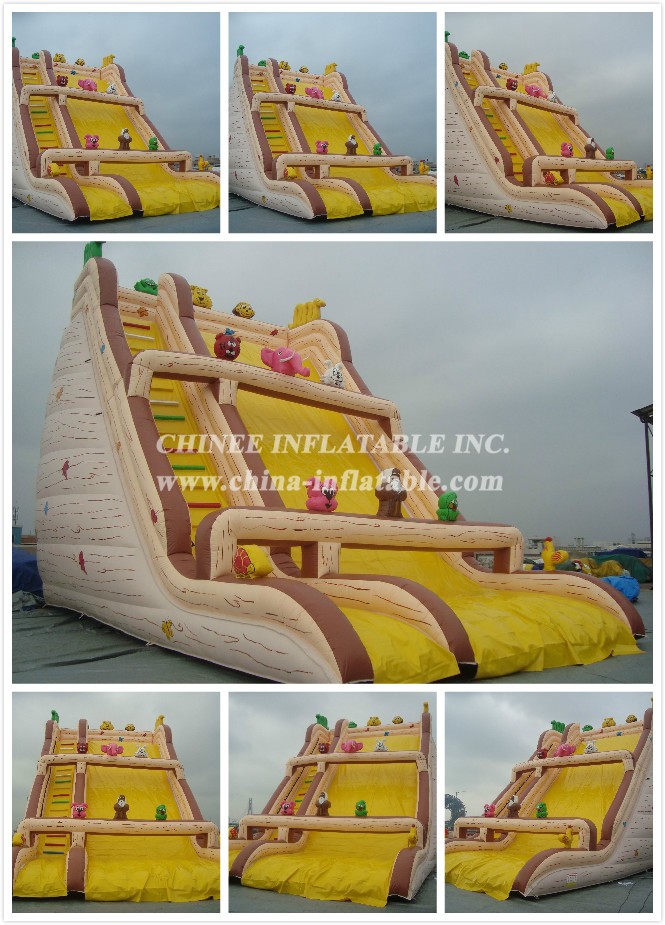 15 - Chinee Inflatable Inc.