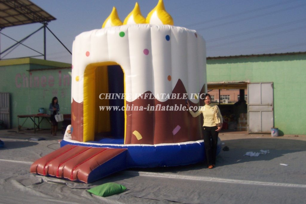 T1-4 Birthday Party Inflatable Bouncer