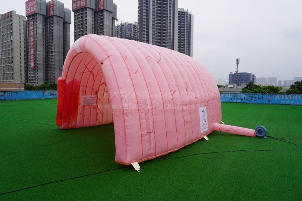 Tent1-441C visceral shape inflatable tent